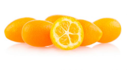 Kumquat-