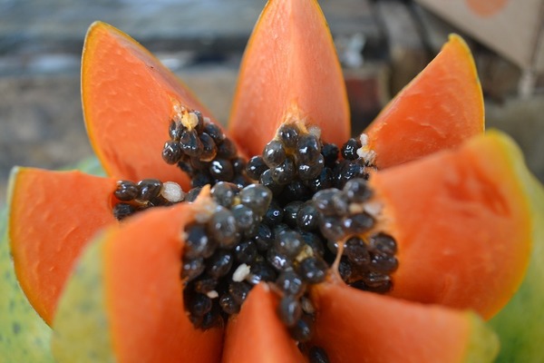 propiedades curativas de la papaya
