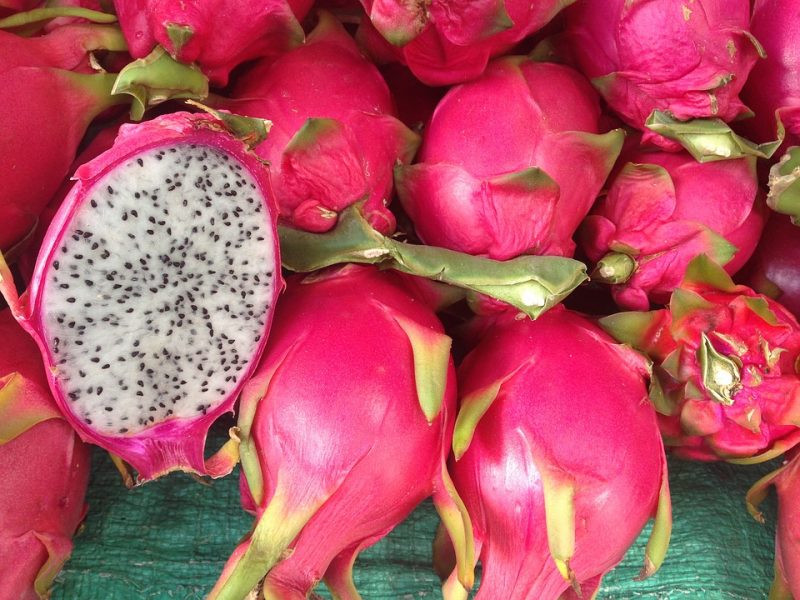 pitaya, vida de color de rosa, exotic fruit box