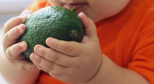 Avocado und Kinderernährung exotic fruit box
