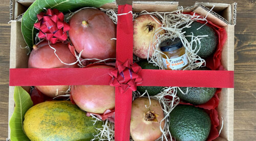 Caja de Navidad de Exotic Fruit
